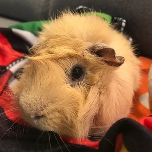 Meet your Posher, Jaime